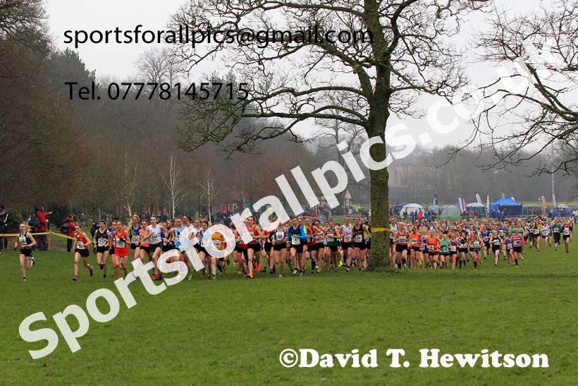 Senior Womens 2023 Northern Cross Country Champs., Witton Park, Blackburn. Photo: David T. Hewitson/Sports for All Pics
